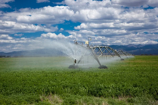 Centro pivô sistema de irrigação agrícola — Fotografia de Stock