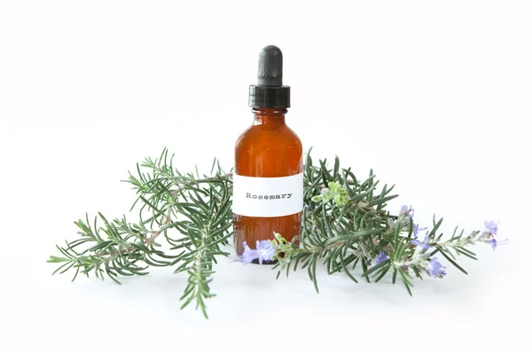 Rosemary extract — Stockfoto