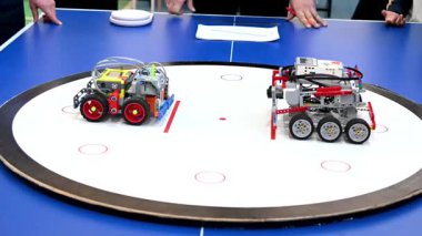 Oyunun görüntüsü. Robot Bowling. Robot Sumo