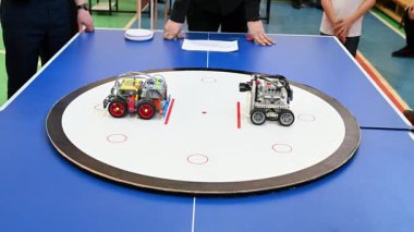 Oyunun görüntüsü. Robot Bowling. Robot Sumo
