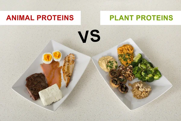 Proteínas animales versus vegetales — Foto de Stock