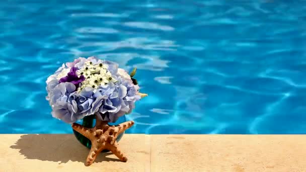 Concept background summer pool, flowers and a starfish shell — Stock Video