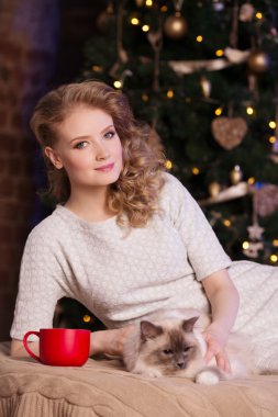 Noel partisi, kedili kadın kış tatili. Yeni yıl kız. 