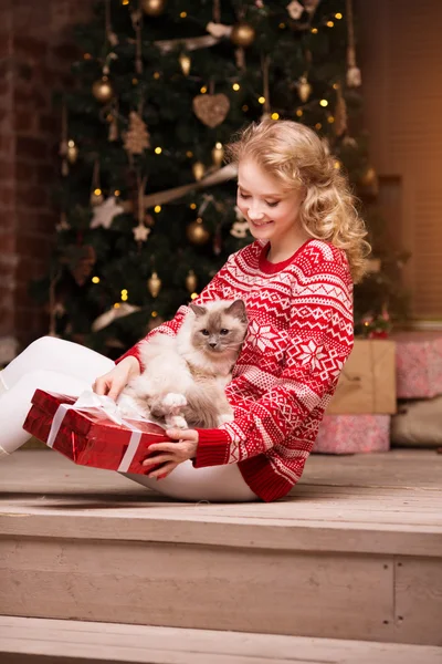 Festa de Natal, férias de inverno mulher com gato. Menina do ano novo . — Fotografia de Stock