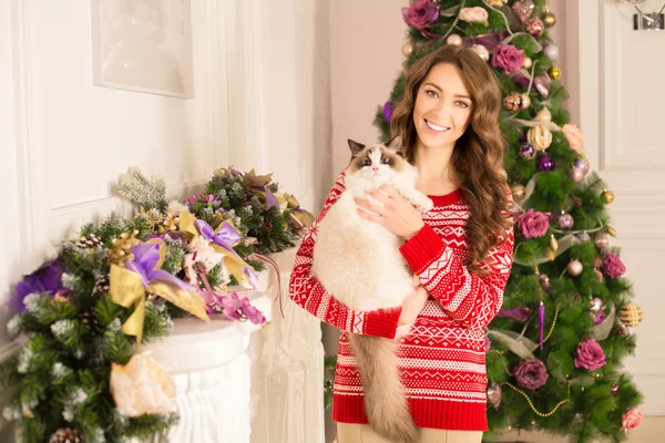 Fiesta de Navidad, vacaciones de invierno mujer con gato. Una chica de año nuevo. árbol de Navidad en el fondo interior . — Foto de Stock