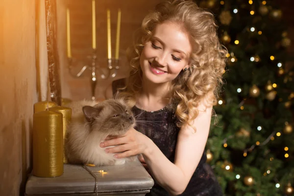 Рождественская вечеринка, зимние праздники женщина с котом. Новогодняя девочка . Стоковое Фото