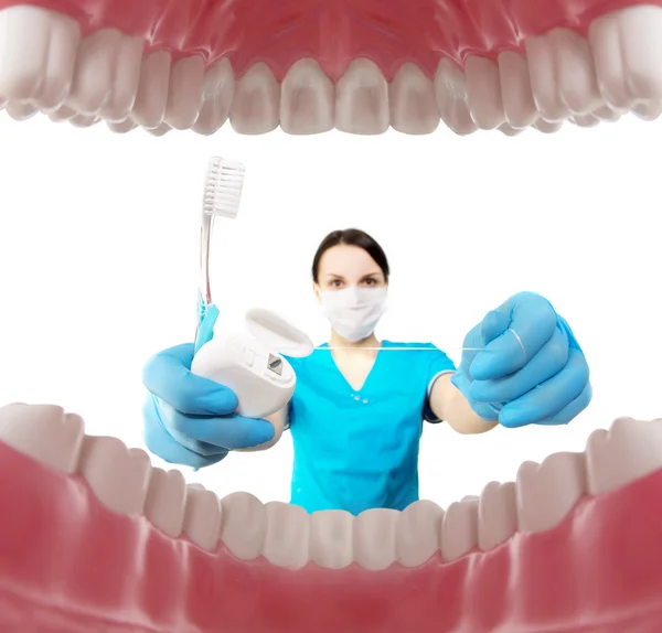 Aletleri olan dişçi. Diş hekimliği, beyazlatma, ağız hijyeni kavramı — Stok fotoğraf