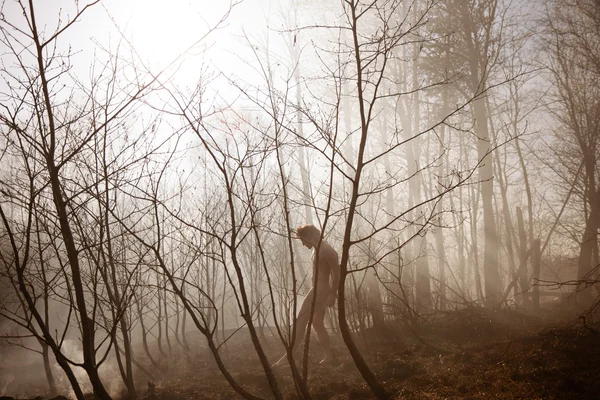 Un feu de forêt. Du feu. Réchauffement climatique, catastrophe environnementale. Conce — Photo