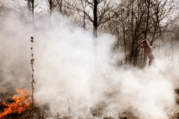 Un feu de forêt. Du feu. Réchauffement climatique, catastrophe environnementale. Conce — Photo