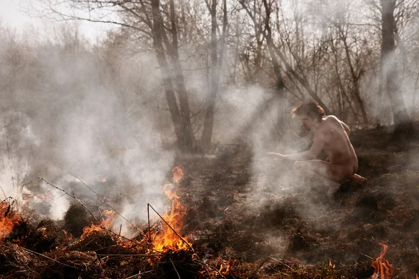 Incendio. Fuoco. Riscaldamento globale, catastrofe ambientale. Conce — Foto Stock