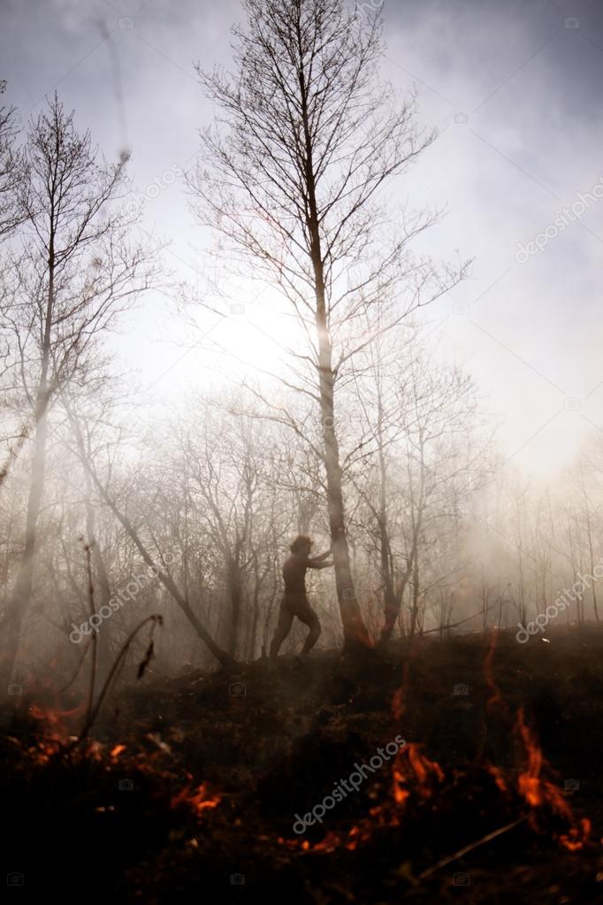 Wildfire. Fire. Global warming, environmental catastrophe. Conce