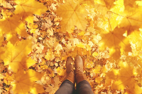 Fall, autumn, leaves, legs and shoes. Conceptual image of legs i — Stock Photo, Image