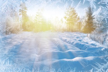 Kış arka plan manzara. Kış harikalar diyarı ağaçlarda. Kış sahne. Noel, yeni yıl arka plan