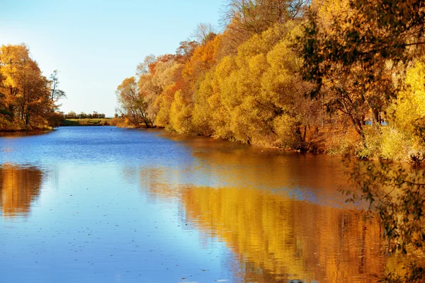 、秋、紅葉の背景。秋の木の枝を残す — ストック写真