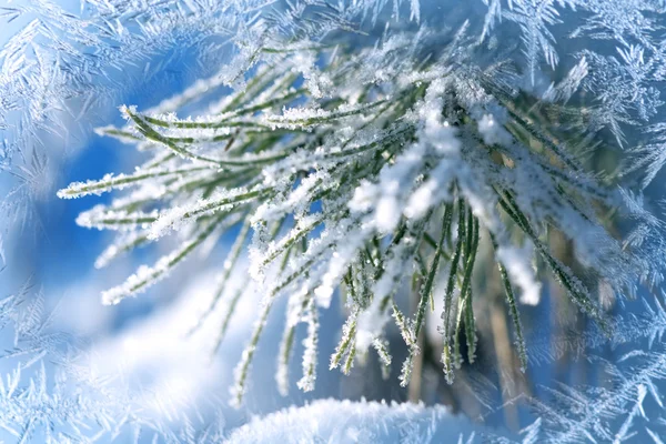 Tło zima, krajobraz. Zimą drzewa w krainie czarów. Zimowa scena. Boże Narodzenie, nowy rok tło — Zdjęcie stockowe