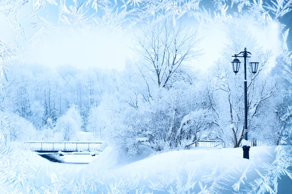 冬の背景、風景。冬の不思議の国の木です。冬のシーン。クリスマス、新年の背景 — ストック写真