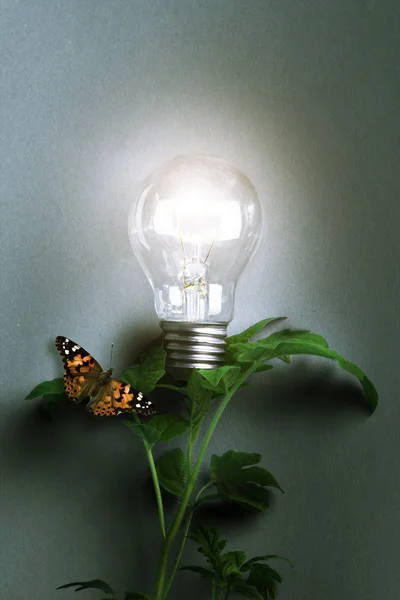 Lamp. Concept start up idea design. Background business creative conceptual image about success — Stock Photo, Image