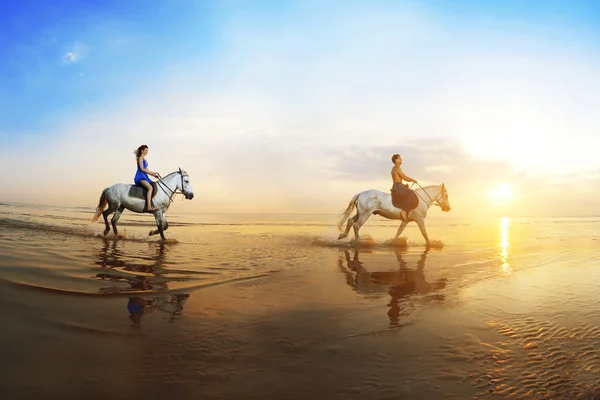 Love background. Family and horse in the sunshine. Couple in lov Royalty Free Stock Photos