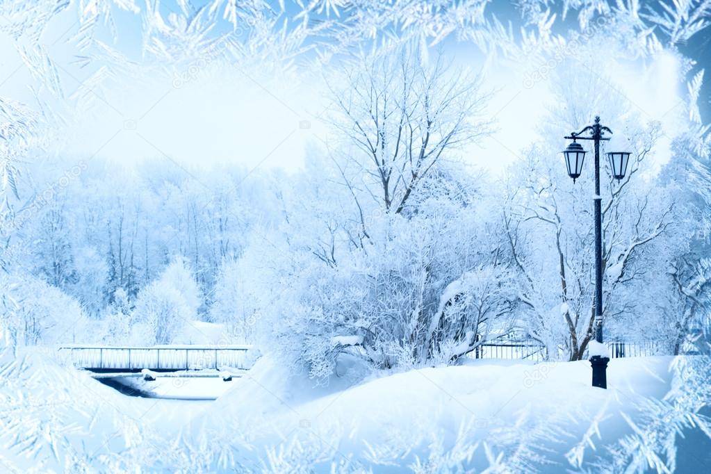 Winter background, landscape. Winter trees in wonderland. Winter scene. Christmas, New Year background