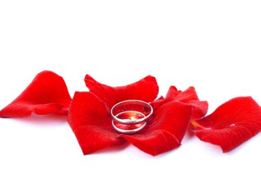 Düğün davetiye kartı için kavram. Alyans yaprakları 