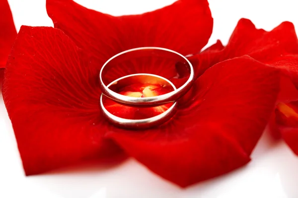 Concepto de boda para tarjeta de invitación. anillos de boda en pétalos de —  Fotos de Stock