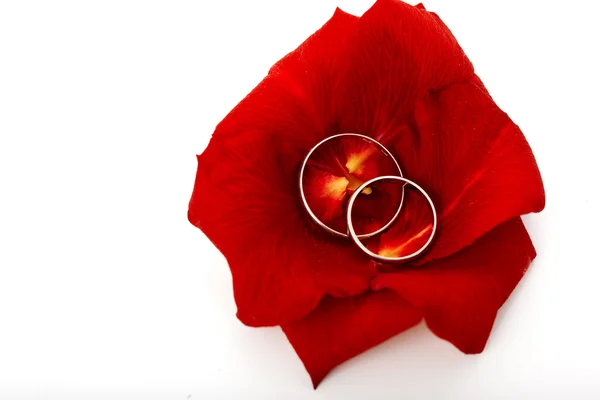 Concepto de boda para tarjeta de invitación. anillos de boda en pétalos de —  Fotos de Stock