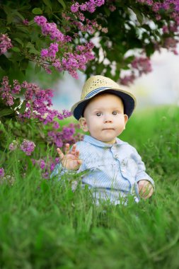 Toddler sitting on the grass in a meadow. A baby on the backgrou