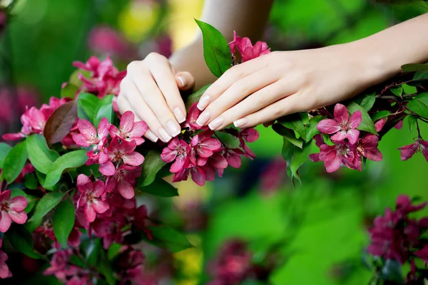 Mãos com uma manicura deslumbrante em flores — Fotografia de Stock