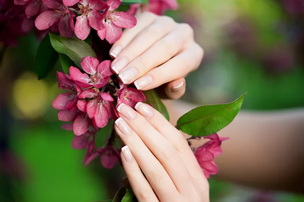Hands with a stunning manicure on flowers — Stok fotoğraf