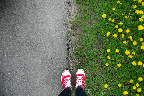 Gumshoes on urban grunge background of asphalt. Conceptual image — Stock fotografie