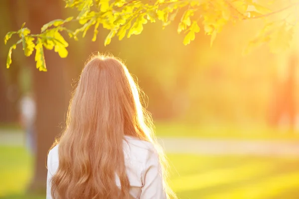 Young woman with long hair turned back  outdoors in sun light Wa 스톡 사진