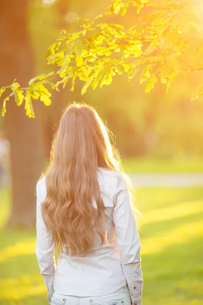 Junge Frau mit langen Haaren kehrte im Sonnenlicht ins Freie zurück lizenzfreie Stockbilder