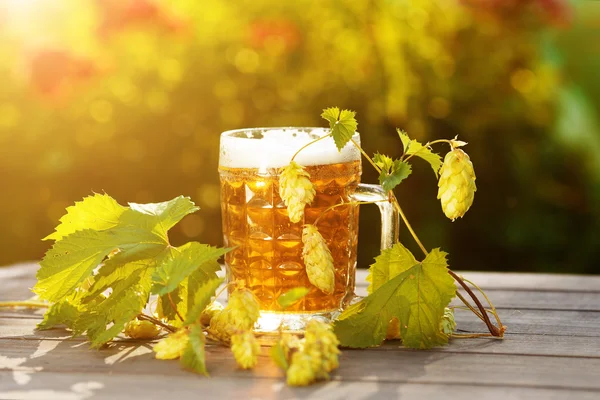 Пиво. Кружка с пивом и прыгать на закате летний осенний фон . Стоковое Изображение