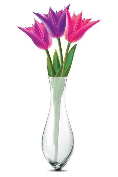 Kytice tulipánů ve skleněné váze na bílou. Vektorový illustratio — Stockový vektor