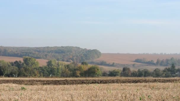 Campo de cultivo de tractores agrícolas — Vídeo de stock