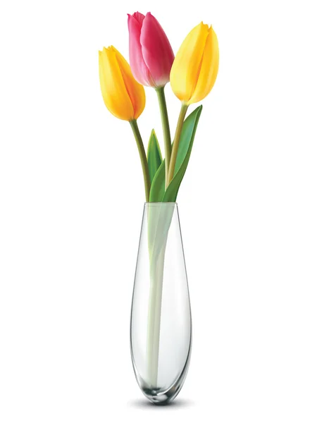 Bouquet di tulipani in un vaso di vetro su un bianco. Illatio vettoriale — Vettoriale Stock