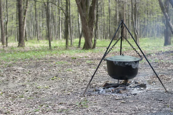 Lagerfeuer im Freien brennt mit Baumstämmen und Topf — Stockfoto