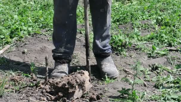 Tüp kir kaldırma işçilerle dönen el ile sondaj zemin — Stok video