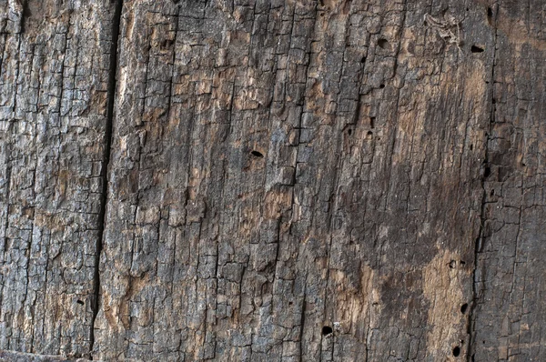 Old wood cracked texture — Stock Photo, Image