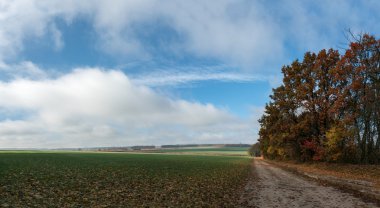 Yol alanında, sonbahar yatay