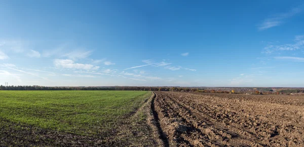 Autumn field plowed half — Stock Photo, Image