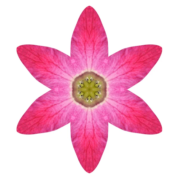 Fialové kaleidoskopický Lily Květina Mandala izolované na bílém — Stock fotografie