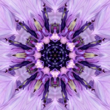 Mor Mandala çiçek Merkezi. Konsantrik Kaleidoscope tasarım