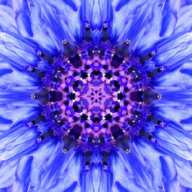 Mavi Mandala çiçek Merkezi. Konsantrik Kaleidoscope tasarım