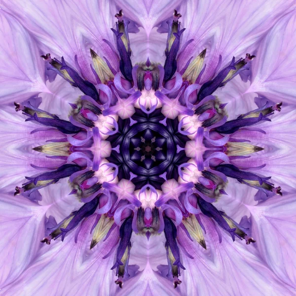 Fioletowy kwiat centrum mandali. Koncentryczne Kalejdoskop Design — Zdjęcie stockowe