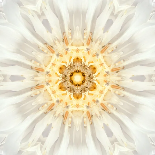 White Mandala Flower Center. Concentric Kaleidoscope Design — Stock Photo, Image