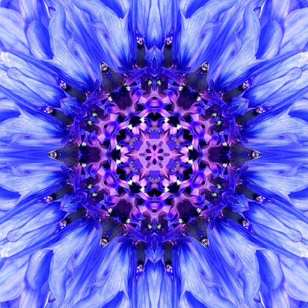 Blue Mandala Flower Center. Concentric Kaleidoscope Design — Stock Photo, Image