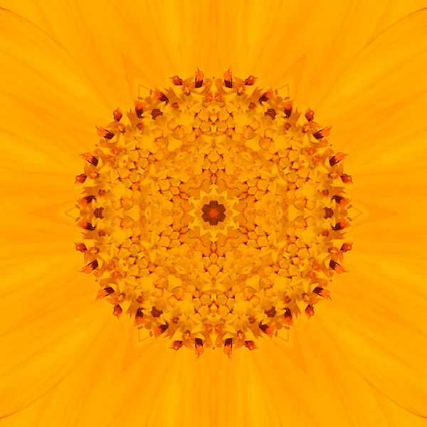 Sarı Mandala çiçek. Konsantrik Kalaidoscope tasarım — Stok fotoğraf