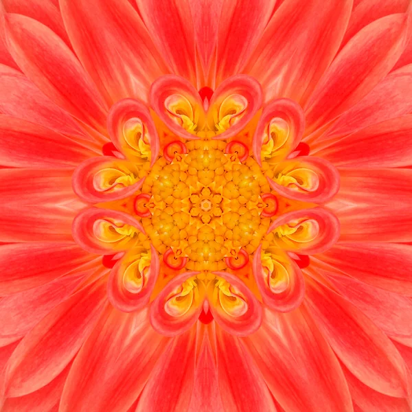 Flor de Mandala Naranja. Diseño concéntrico del Kalaidoscopio —  Fotos de Stock