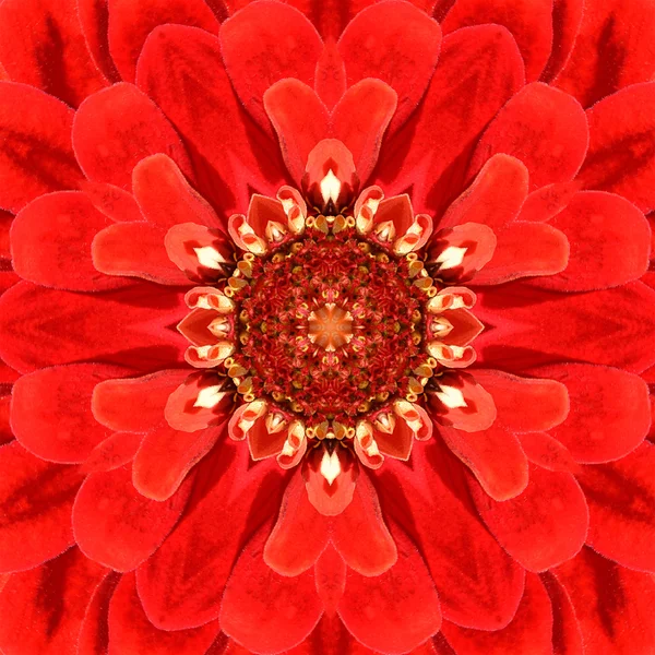 ศูนย์ดอกไม้ศูนย์กลางแมนดาลาสีแดง คาลีโดสโคป — ภาพถ่ายสต็อก